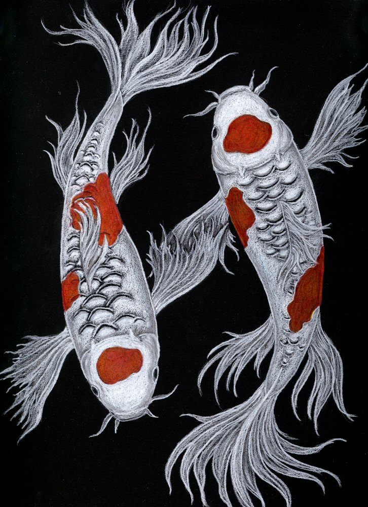 Koi Fish Drawings Arted 4 Life