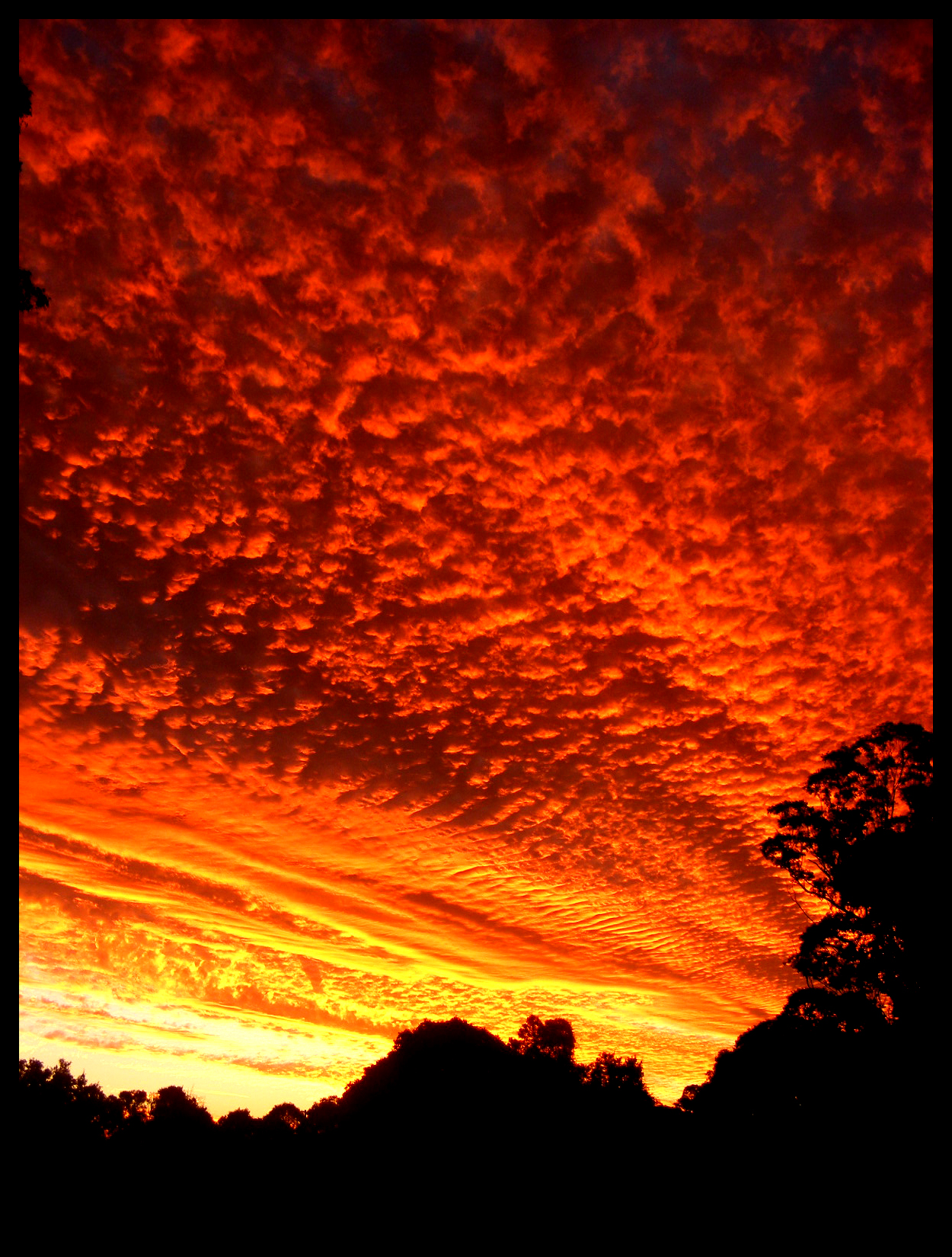 http://fc08.deviantart.com/fs28/f/2008/096/1/2/Sunset_I_by_Chris_Treichel.jpg