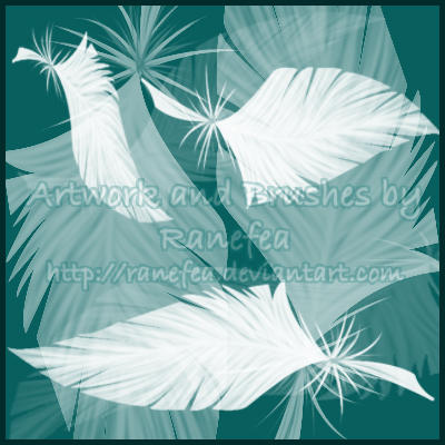 Feather_Brushes_2_by_Ranefea.jpg