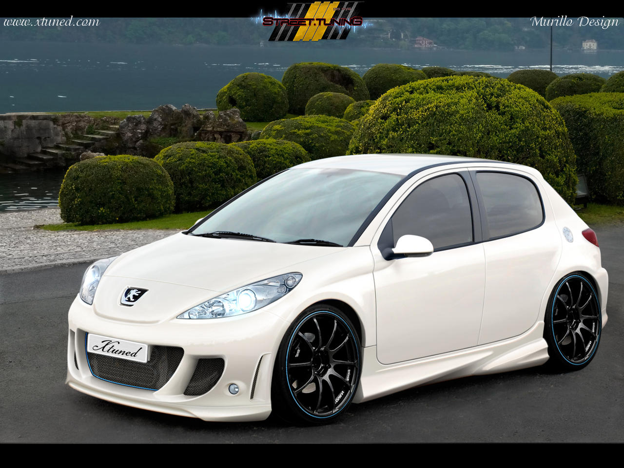 Peugeot 207 by MurilloDesign